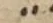 Punctuation - #54154