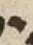 Letter - #54210