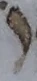 Letter - #54244