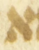 Letter - #54301