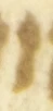Letter - #54322