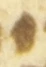 Letter - #54323