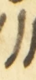 Letter - #54355
