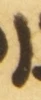 Letter - #54373