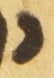 Letter - #54385