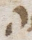 Letter - #54494
