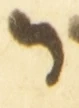 Letter - #54517