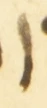Letter - #54534