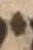 Letter - #54553