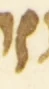 Letter - #54589