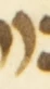 Letter - #54591