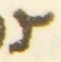Letter - #54597