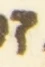 Letter - #54600