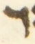 Letter - #54607