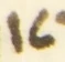 Letter - #54608