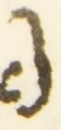 Letter - #54616