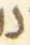 Letter - #54617