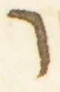 Letter - #54646
