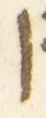 Letter - #54647