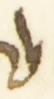Letter - #54648