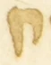 Letter - #54666