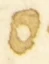 Letter - #54668