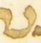 Letter - #54677
