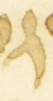 Letter - #54682