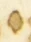 Letter - #54684