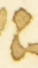 Letter - #54686