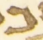 Letter - #54715