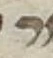 Letter - #54789