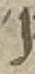 Letter - #54792