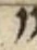 Letter - #54910