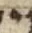Letter - #54912
