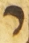 Letter - #54973