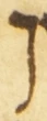 Letter - #54982