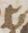 Letter - #55003