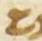 Letter - #55071