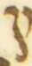 Letter - #55147