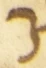 Letter - #55152