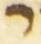 Letter - #55154