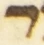 Letter - #55155