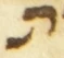 Letter - #55158