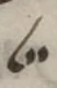 Divine Symbol - #55188