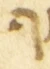 Letter - #55205