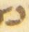 Letter - #55215
