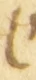 Letter - #55219