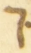 Letter - #55221