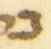 Letter - #55229